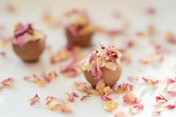 JokerBet Casino אפליקציית Android/iOS